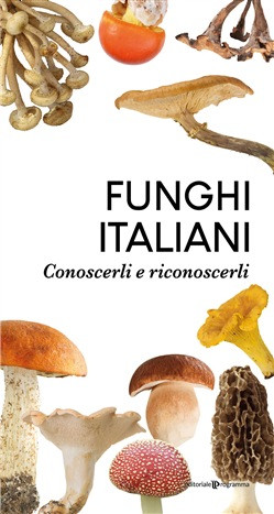 FUNGHI ITALIANI
