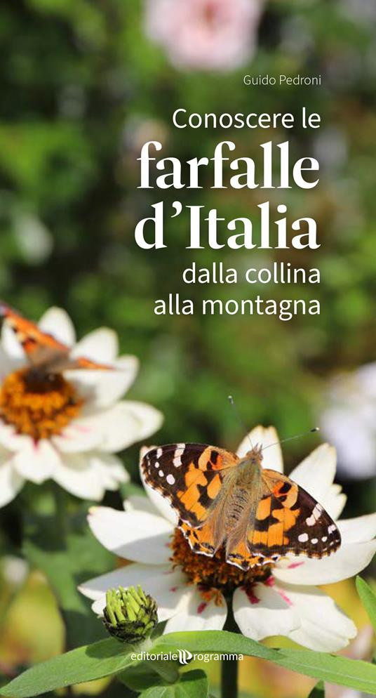 FARFALLE D ITALIA