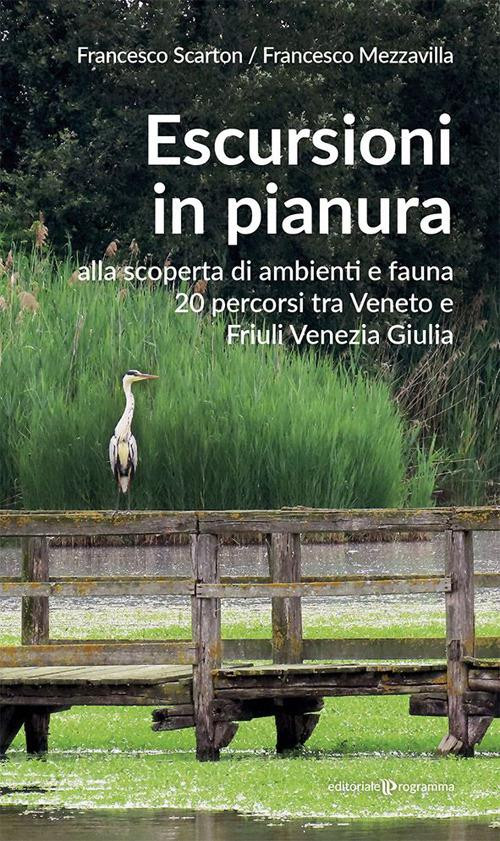 BIRDWATCHING IN LAGUNA DI VENEZIA