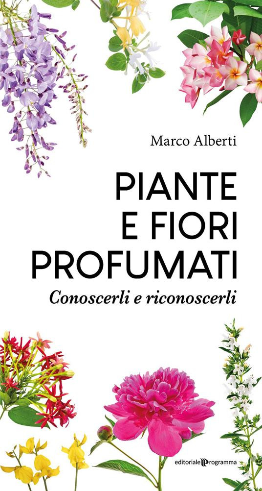 PIANTE E FIORI PROFUMATI