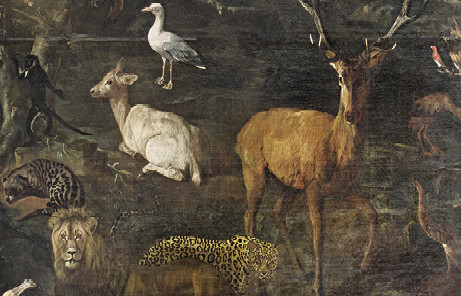 IL MERAVIGLIOSO MONDO DELLA NATURA