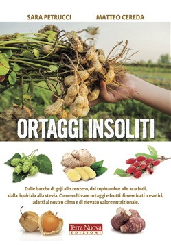ORTAGGI INSOLITI