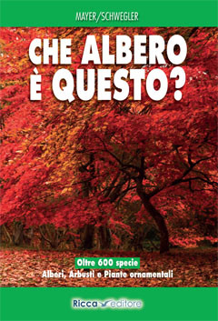 CHE ALBERO E QUESTO?