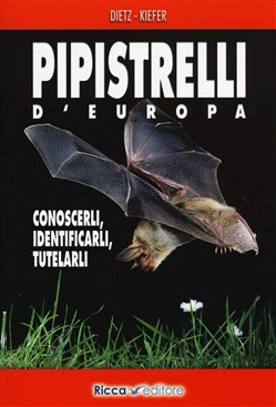 PIPISTRELLI D EUROPA