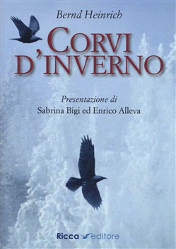 CORVI D INVERNO
