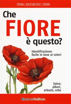 CHE FIORE E QUESTO