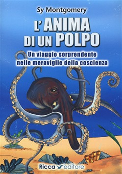 L ANIMA DI UN POLPO