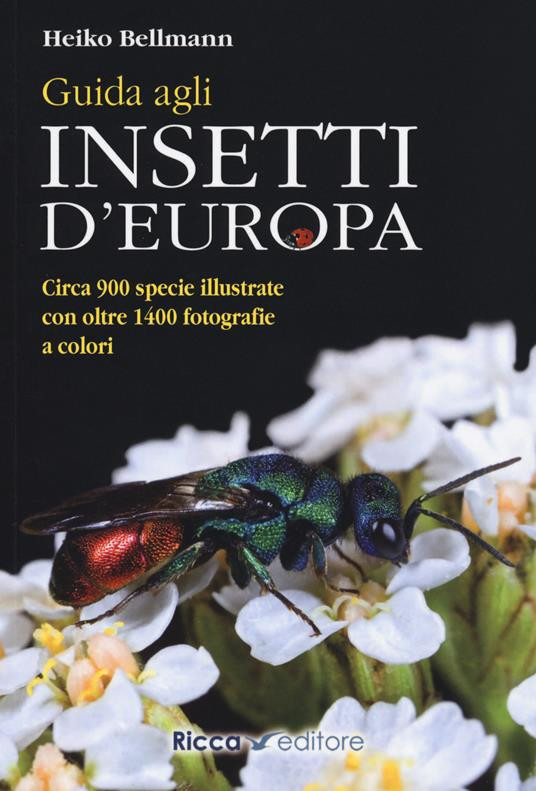 GUIDA AGLI INSETTI D EUROPA