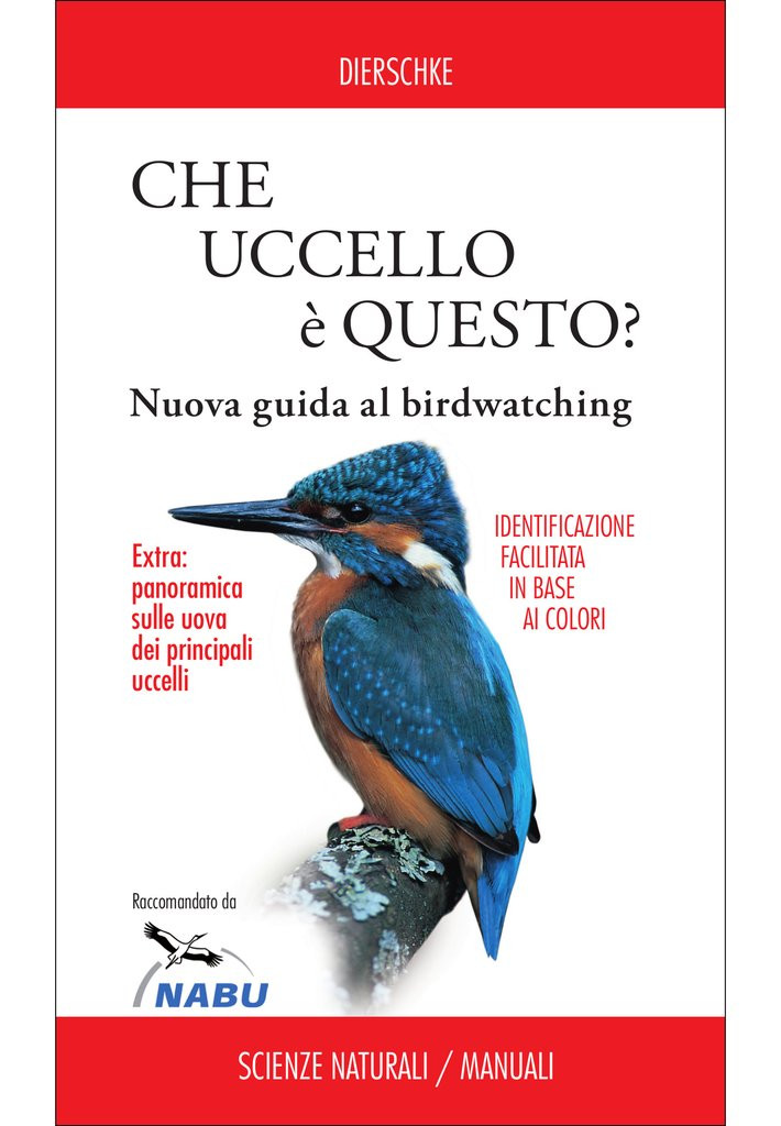 CHE UCCELLO E QUESTO