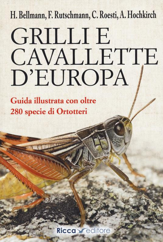 GRILLI E CAVALLETTE D EUROPA