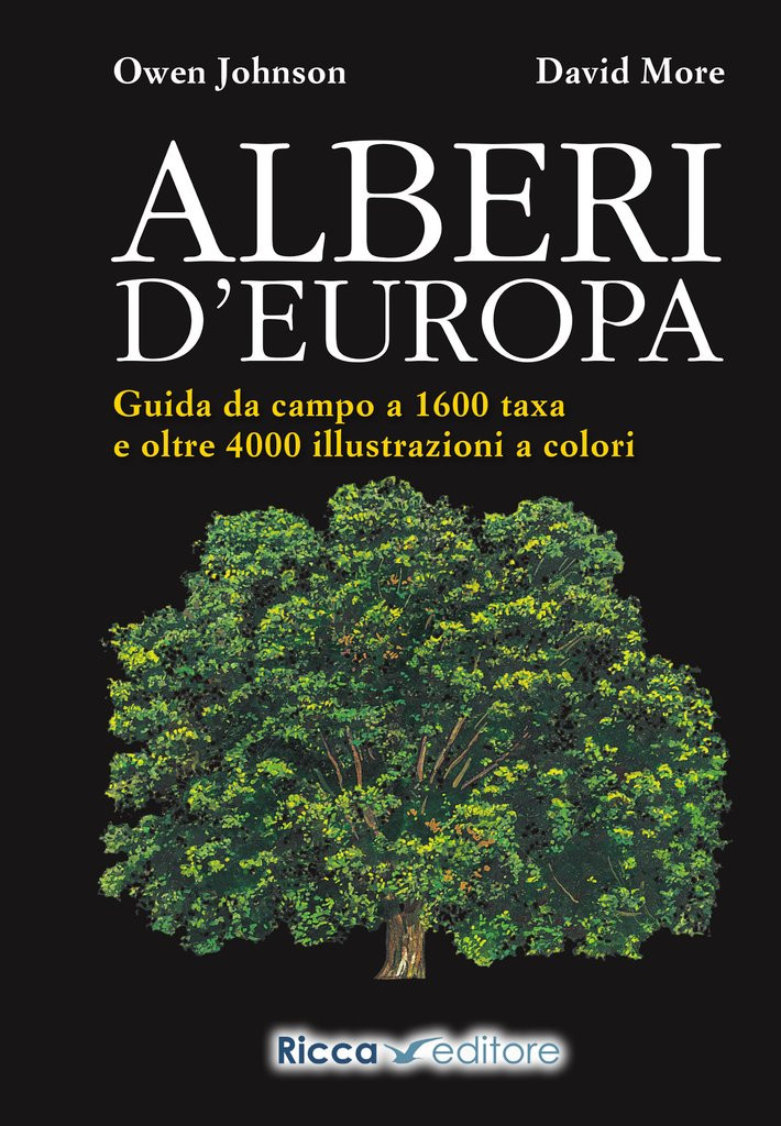ALBERI D EUROPA