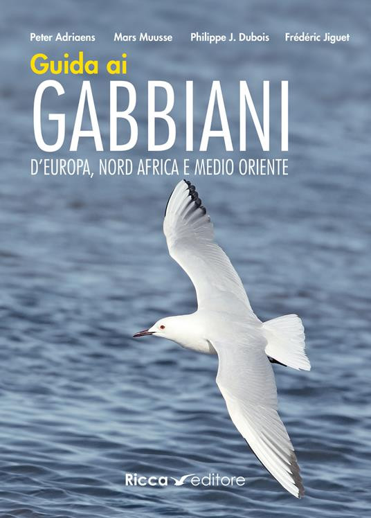 GUIDA AI GABBIANI D EUROPA NORD AFRICA E MEDIO ORIENTE