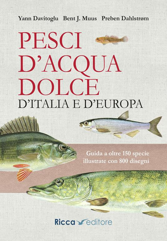 PESCI D ACQUA DOLCE D ITALIA E D EUROPA