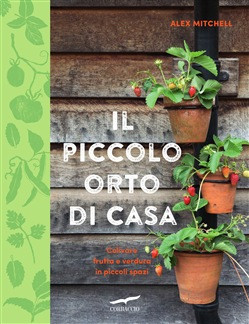 IL PICCOLO ORTO IN CASA