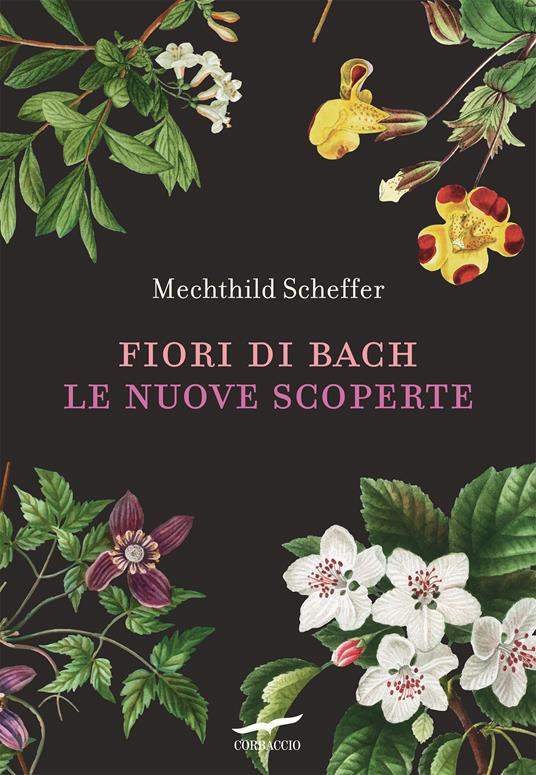 FIORI DI BACH LE NUOVE SCOPERTE