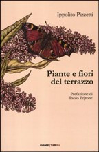 PIANTE E FIORI DEL TERRAZZO
