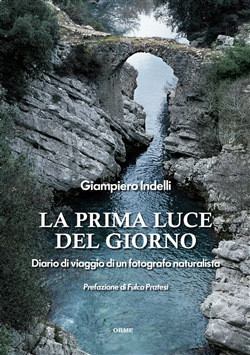 LA PRIMA LUCE DEL GIORNO