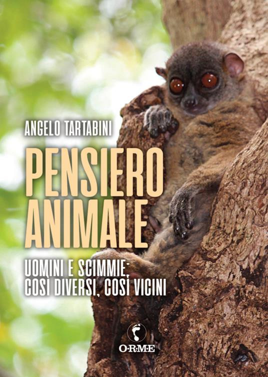 PENSIERO ANIMALE