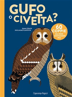 GUFO O CIVETTA