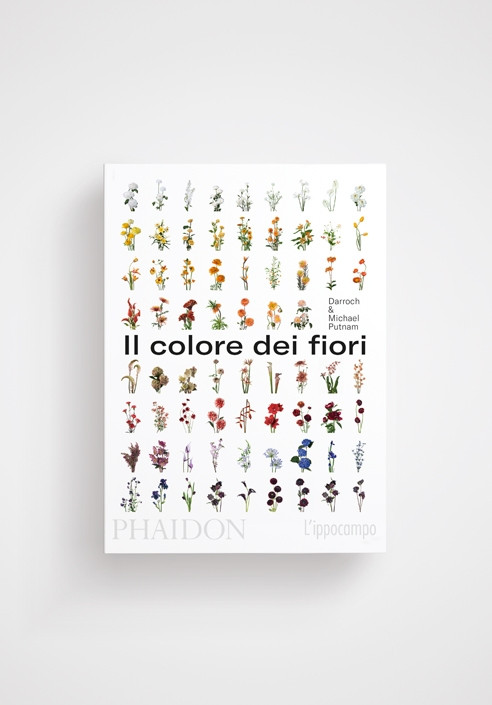 IL COLORE DEI FIORI