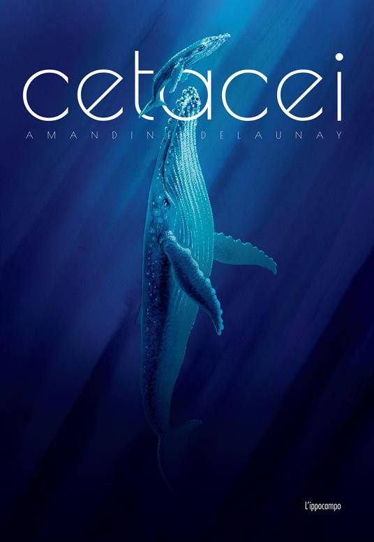 CETACEI