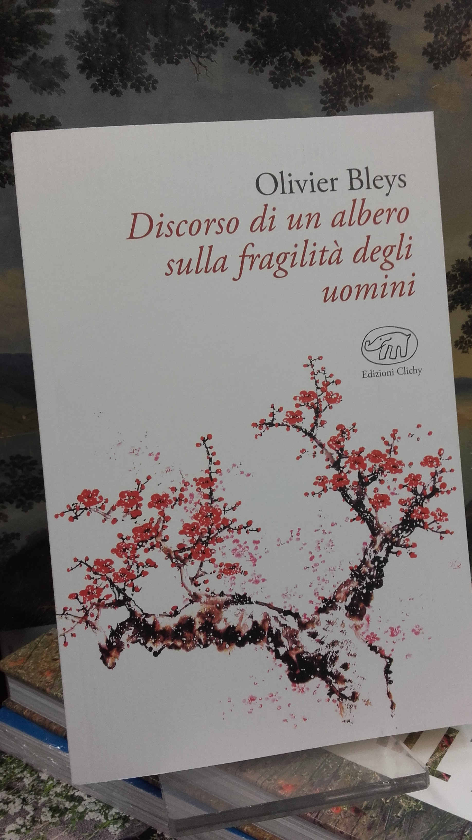 DISCORSO DI UN ALBERO SULLA FRAGILITA DEGLI UOMINI