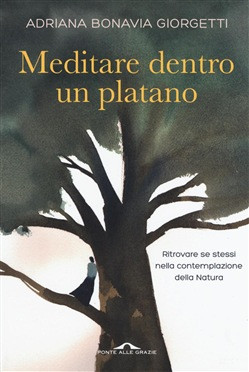 MEDITARE DENTRO UN PLATANO