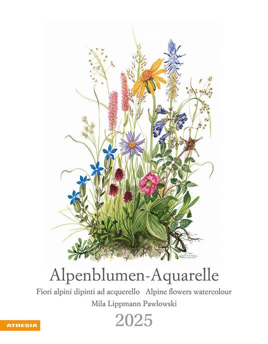 ALPENBLUMEN AQUARELLE 2025