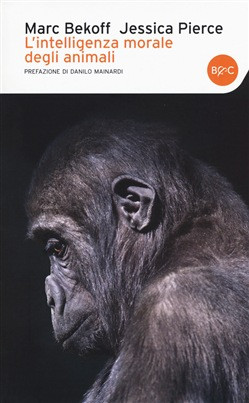 L INTELLIGENZA MORALE DEGLI ANIMALI