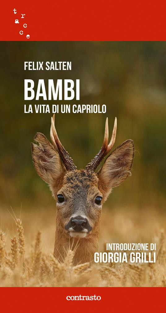 BAMBI