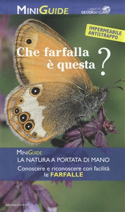 CHE FARFALLA E QUESTA