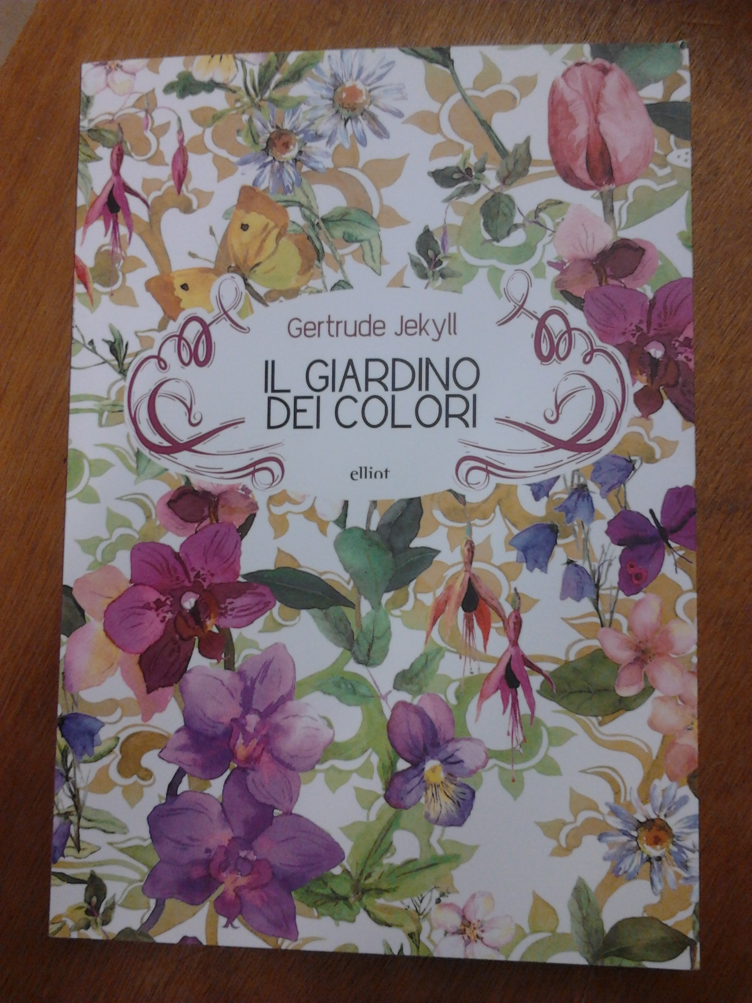 IL GIARDINO DEI COLORI