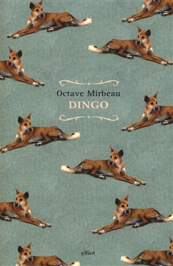 DINGO
