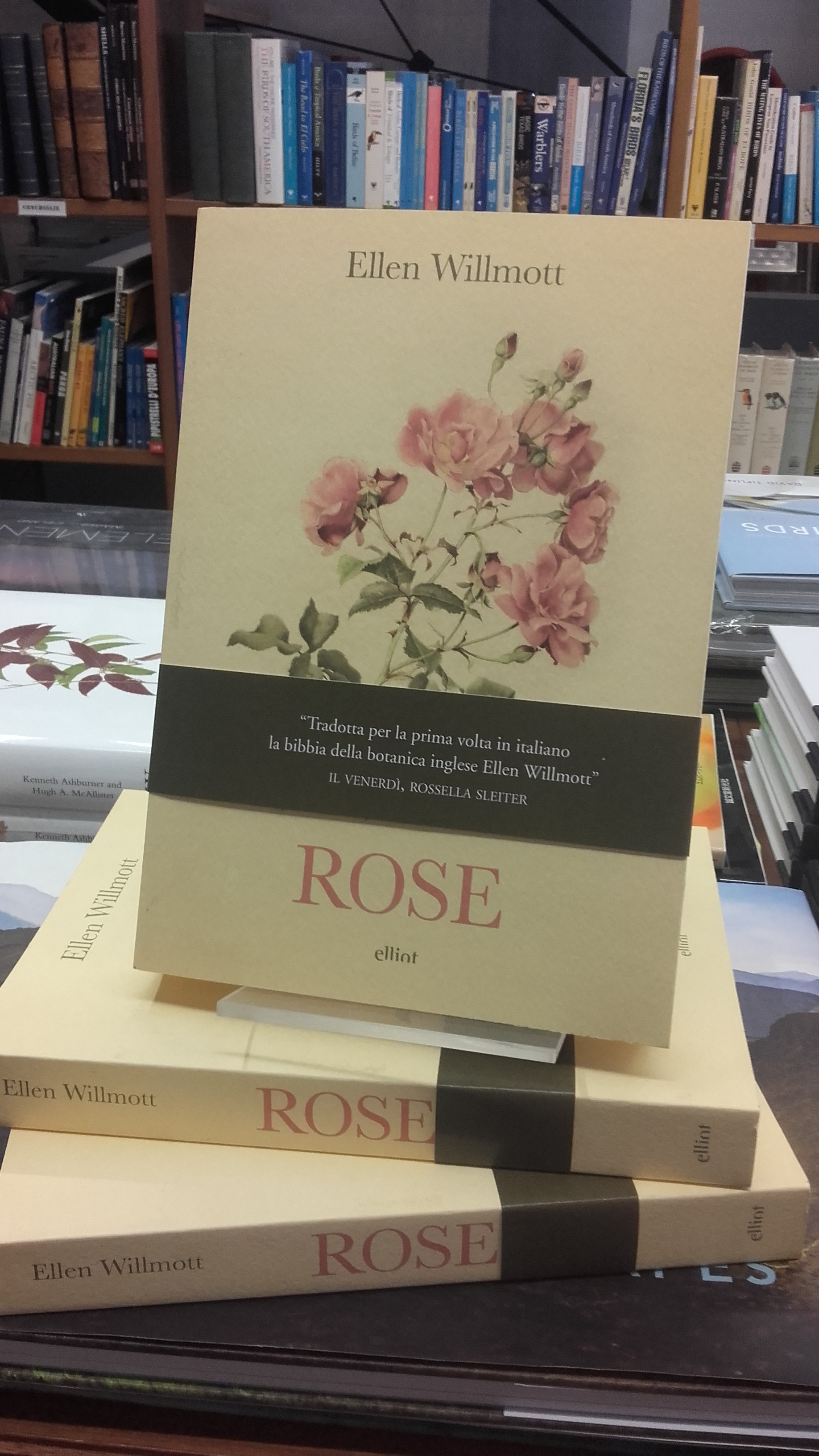ROSE
