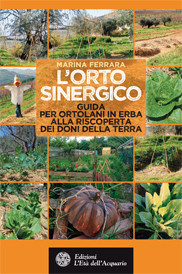 L ORTO SINERGICO