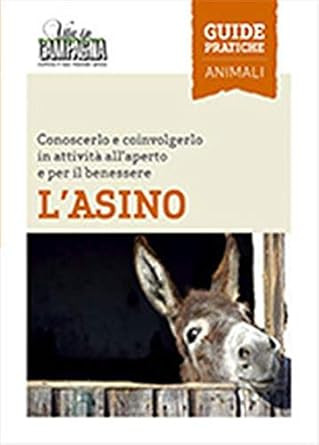 L ASINO