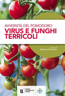 AVVERSITA DEL POMODORO