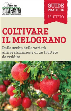 COLTIVARE IL MELOGRANO