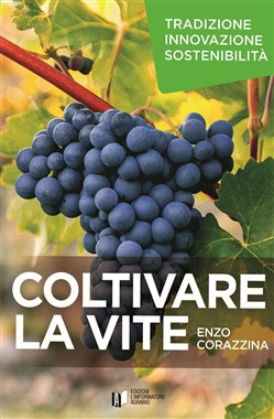 COLTIVARE LA VITE