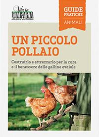 UN PICCOLO POLLAIO