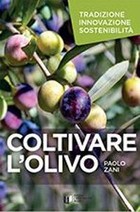 COLTIVARE L OLIVO