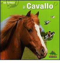 IL CAVALLO