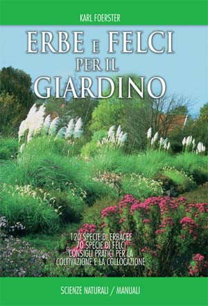ERBE E FELCI PER IL GIARDINO