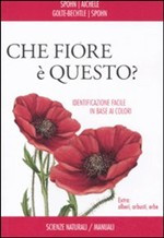 CHE FIORE E QUESTO