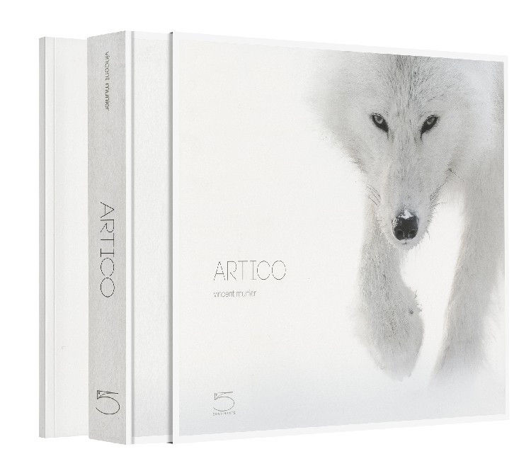 ARTICO