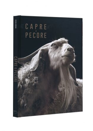 CAPRE O PECORE