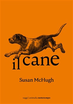 IL CANE
