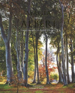 LA MAGIA DEGLI ALBERI