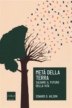 META DELLA TERRA