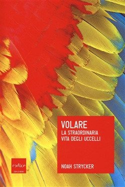 VOLARE